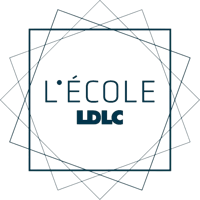 logoecoleLDLC-removebg-preview (1)